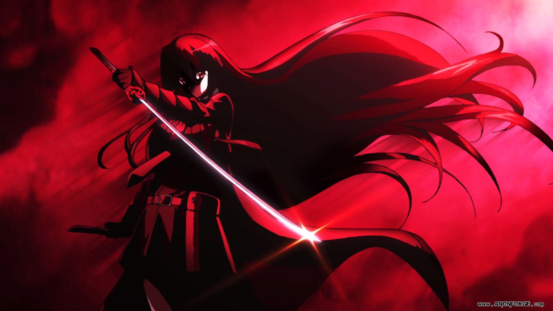 Featured image of post Akame Ga Kill Wallpaper Pc