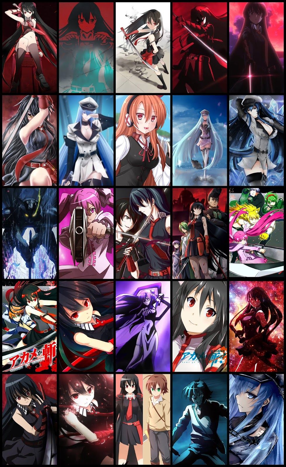 Featured image of post Akame Ga Kill Wallpaper Phone