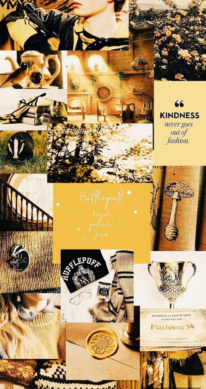 Featured image of post Hufflepuff Aesthetic Wallpaper