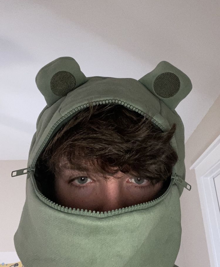 Featured image of post Karl Jacobs Frog Hoodie Art